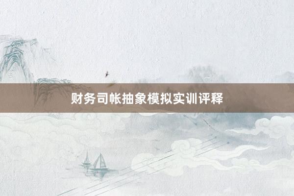 财务司帐抽象模拟实训评释