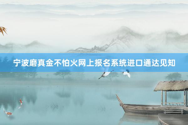 宁波磨真金不怕火网上报名系统进口通达见知