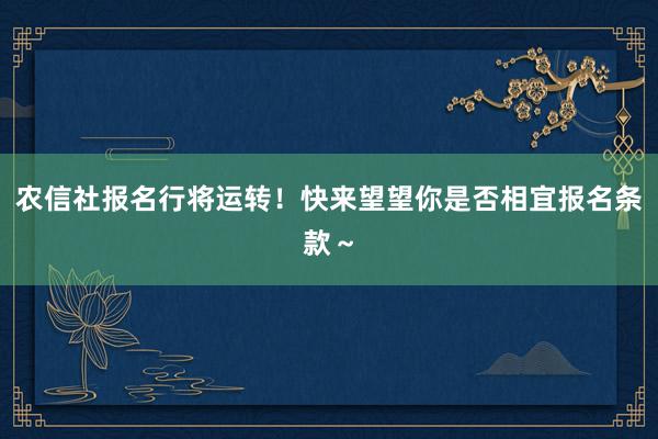 农信社报名行将运转！快来望望你是否相宜报名条款～